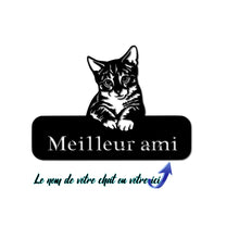 Charger l'image dans la galerie, Décorations murale métal, Monogramme personnalisé motif chat, wall art, made in FRANCE (39)
