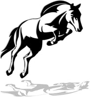 Charger l'image dans la galerie, Décoration murale métal - Saut de cheval C.S.O - Art de fer 39- Wall art- Made in France