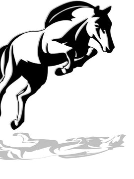 Décoration murale métal - Saut de cheval C.S.O - Art de fer 39- Wall art- Made in France
